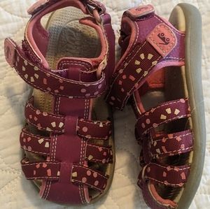 See Kai Run Paley ii